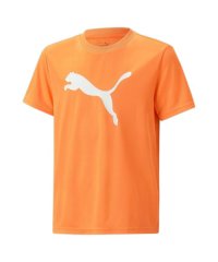 PUMA/ACTIVE SPORTS ポリ キャット Tシ/505591381