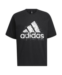 adidas/City Escape Loose Fit Badge of Sport Graphic T－Shirt/505591470