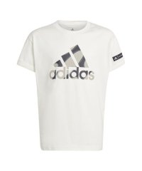 Adidas/YG MMKO グラフィック Tシャツ/505591797