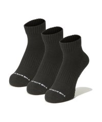 THE NORTH FACE/Running Uneven Dry 3P Ankle (ランニング アンイーブン ドライ 3P アンクル)/505593113