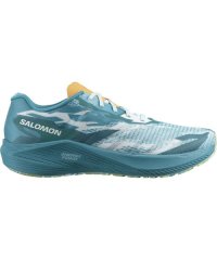 SALOMON/AERO VOLT/505594920