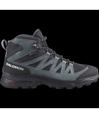 SALOMON/X WARD LEATHER MID GTX W (エックスワードレザーミッドGTX W)/505595213