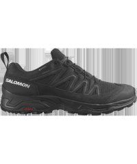 SALOMON/X WARD LEATHER GTX (エックスワードレザーGTX)/505595215