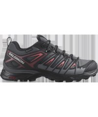 SALOMON/X ULTRA PIONEER GTX W (エックスウルトラパイオニアGTX W)/505595220