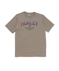 Hurley/ハーレー Hurley M QUEST LOGO TEE/505597139