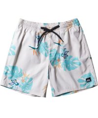 QUIKSILVER/EVERYDAY MIX VOLLEY 17NB/505597227