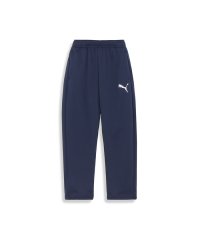 PUMA/キッズ ボーイズ ACTIVE SPORTS トレーニング パンツ 120－160cm/505601074