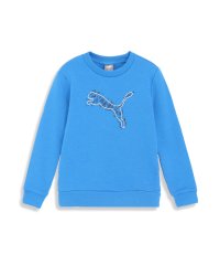 PUMA/キッズ ボーイズ ACTIVE SPORTS クルースウェット 120－160cm/505601077