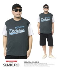 one colors/ジェニュイン ディッキーズ(GENUINE Dickies) 半袖 Tシャツ メンズ 大きいサイズ ロゴ カレッジ プリント クルーネック カットソー 半袖Tシ/505570961