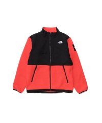 THE NORTH FACE/DENALI JACKET (デナリジャケット)/505618726