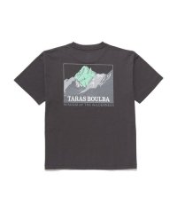TARAS BOULBA/レディースコットンナイロンプリントポケットTシャツ マウンテン/505621405