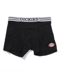 Dickies/Dickies STANDARD/505600694