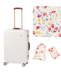 HaNT/ハント HaNT エース ハント メトロノーム スーツケース Lサイズ 女性 軽量 大型 大容量 ストッパー付き フレーム ACE HaNT 05193 キャリ/505632831