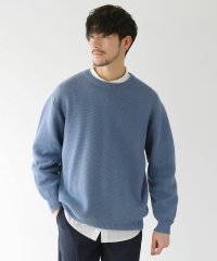 THE CASUAL/カジュアル THE CASUAL SPU 抗菌防臭TCミラノリブクルーネックニット/505628864