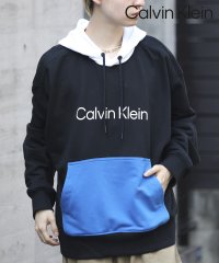 Calvin Klein/【Calvin Klein / カルバンクライン】フロントロゴ 配色 スウェットフーディパーカー 40CM273/505623380