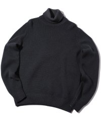 Men's Bigi/【FILIPPO DE LAURENTIIS】5Gタートルネックニット/505638305