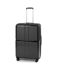 ACE/エース ACE 限定色｜エース スーツケース Lサイズ 78L/91L フロントオープン ストッパー付き 拡張機能 軽量 大容量 フォールズ ACE 06907/505640034