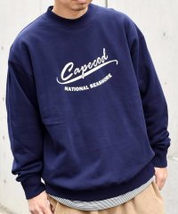 SHIPS any MEN/【WEB限定】SHIPS any: NATIONAL PARK プリント スウェット 23AW◇/504565124