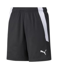 PUMA/キッズ TEAMLIGA トレーニング ショーツ 120cm－160cm/504837536