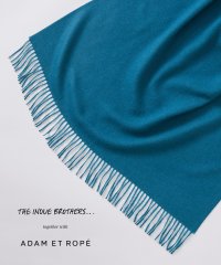 ADAM ET ROPE'/【THE INOUE BROTHERS together with ADAM ET ROPE'】大判ストール / UNISEX/505656658