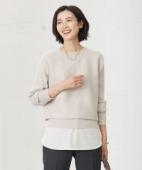 J.PRESS LADIES（LARGE SIZE）/【洗える】VIS/PE RIB ドルマンスリーブ ニット/505662489