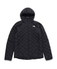 THE NORTH FACE/Astro Light Hoodie (アストロライトフーディ)/505666896