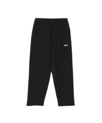 THE NORTH FACE/NEVER STOP ING Pant (ネバーストップ ING パンツ)/505672644