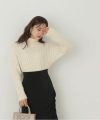 PROPORTION BODY DRESSING/タートルリブニット/505703187