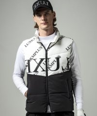 LUXEAKMPLUS/リュクスエイケイエムプラス LUXEAKMPLUS(リュクスエイケイエムプラス)ゴルフ バイカラー総柄中綿ベスト/505733131