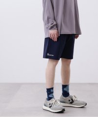 MANASTASH/MANASTASH/マナスタッシュ/MOUNTAIN LOGO SHORTS/マウンテンロゴショーツ/505707203