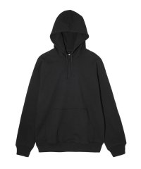  STYLES/REIGINING CHAMP MIDWEIGHT TERRY RELAXED HOODIE RC－3719/505741277