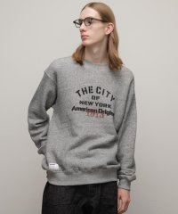 Schott/SALT AND PEPPER SWEAT "THE CITY OF NY"/ソルトアンドペッパースウェット"ザ シティオブ ニューヨーク”/505748063