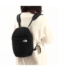 THE NORTH FACE/日本正規品 ザ・ノース・フェイス リュック リュックサック 小さめ 小型 ブランド THE NORTH FACE A5 6L ミニ NM32351/505748174