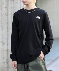 【THE NORTH FACE / ザ・ノースフェイス】DOME TEE ドームロゴ クルーネック ロンT 長袖 カットソー NF0A3L3B