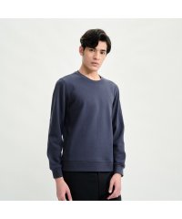 ＡＩＧＬＥ MEN/エーグル AIGLE クルーネックスウェット/505757618