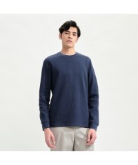 ＡＩＧＬＥ MEN/ロングスリーブワッフルTシャツ/505757620