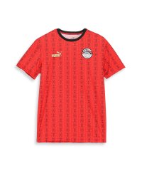 PUMA/メンズ サッカー エジプト FTBLCULTURE Tシャツ/505758692