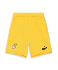 PUMA/メンズ サッカー ガーナ FTBLCULTURE ショーツ/505758724