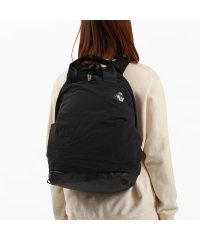 THE NORTH FACE/【日本正規品】 ザ・ノース・フェイス リュック レディース 通学 シンプル THE NORTH FACE おしゃれ 軽い 通勤 ブランド 軽量 NMW82350/505768647