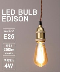 JOURNAL STANDARD FURNITURE/LED SWAN BULB VF EDISON LED電球/505778445