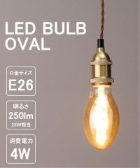 JOURNAL STANDARD FURNITURE/LED SWAN BULB VF OVAL LED電球/505778446