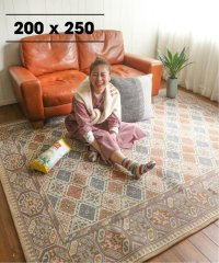 ACME Furniture/GLENOAKS RUG 200x250 グレンオークスラグ/505779598