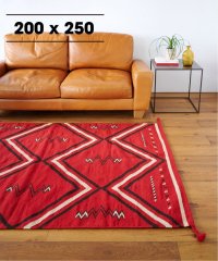 ACME Furniture/KAYANTA  RUG 200x250　カエンタ ラグ/505780082