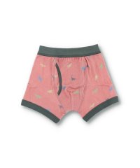 branshes/恐竜柄ボクサーパンツ/505782098
