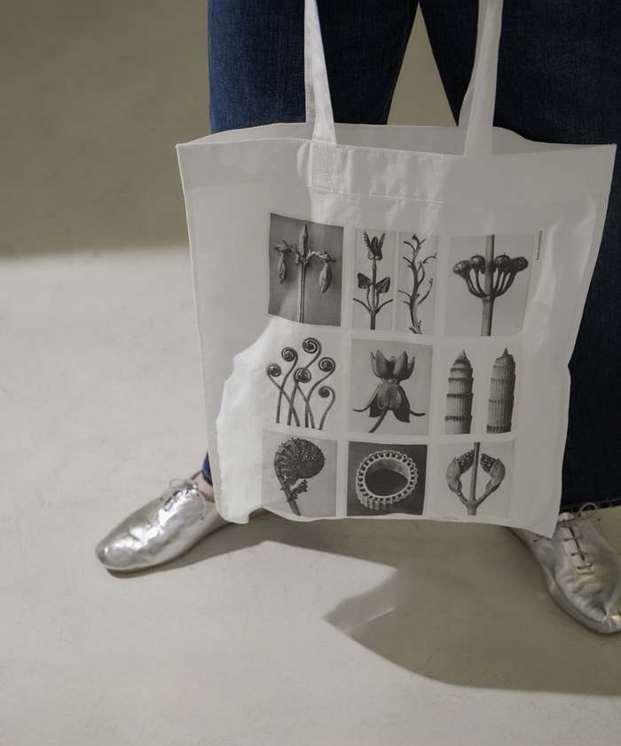 KARL BLOSSFELD】フォトプリントトートバッグ(505780733