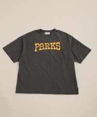 nano・universe/ＡＬＬ　ＮＡＴＩＯＮＡＬ　ＰＡＲＫＳ　ＴＥＥ/504849840