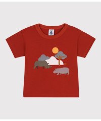 PETIT BATEAU/プリント半袖Ｔシャツ/505810950