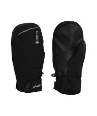 phenix/Phenix フェニックス Time Travel Gloves ACC タイムトラベル グローブ ゴアテックス スキーウェア【MENS】/505825953