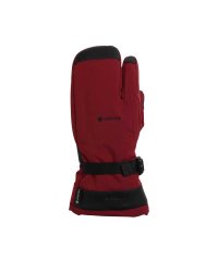 phenix/Phenix フェニックス Time Space Gloves ACC タイムスペース グローブ ゴアテックス スキーウェア【MENS】/505825952
