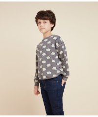 PETIT BATEAU/スウェットプリント長袖プルオーバー/505833709